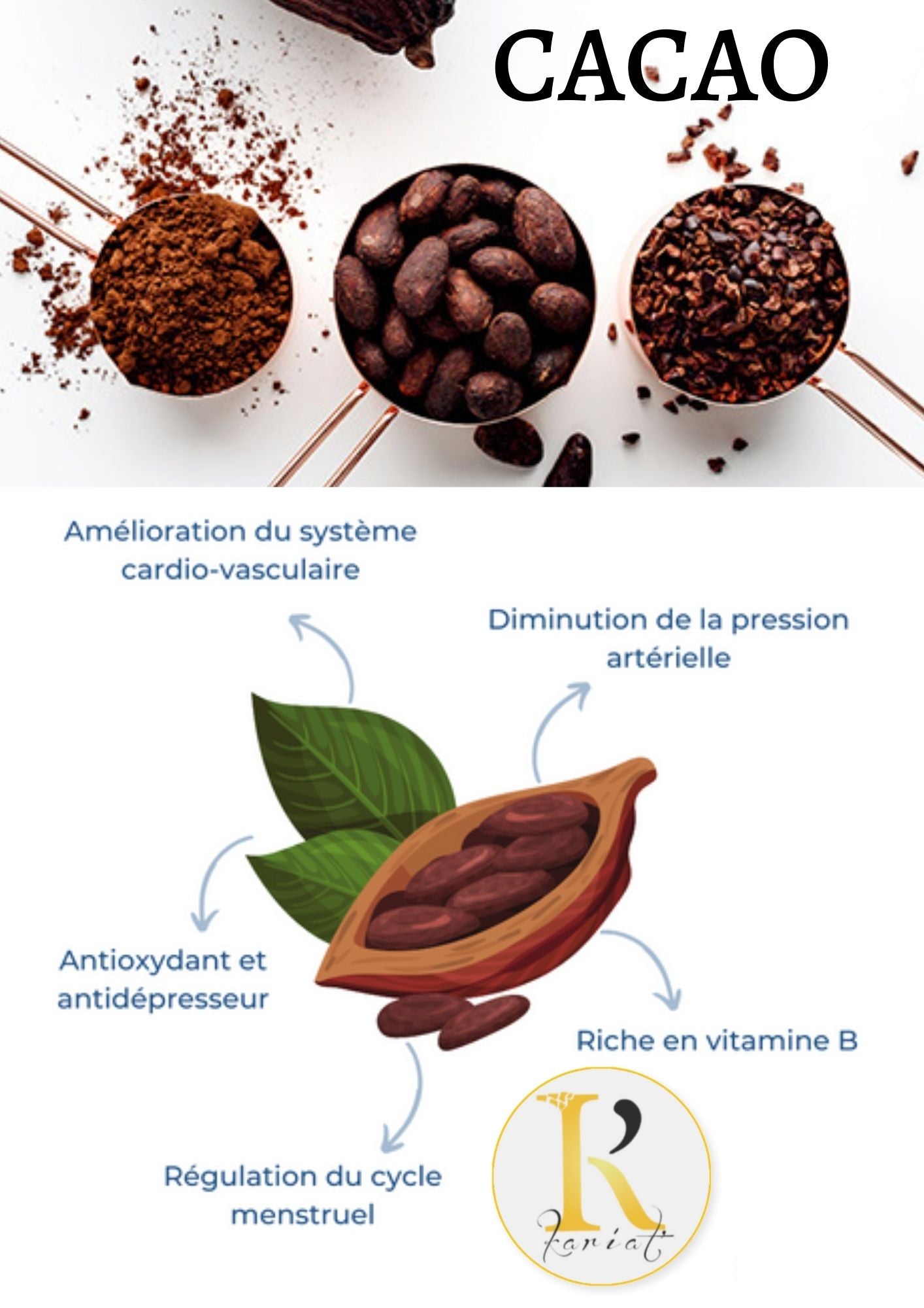 Poudre de cacao PUR & BIO